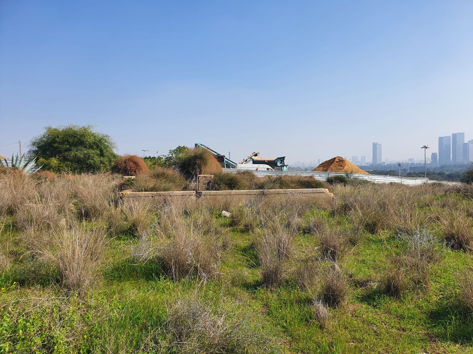 WhatsApp Image 2023-01-25 at 2.14.04 PM.jpeg